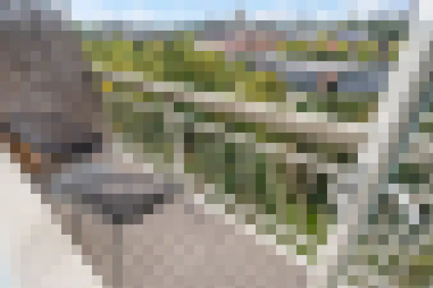 Zangvogelweg 126 Amersfoort thumbnail 14