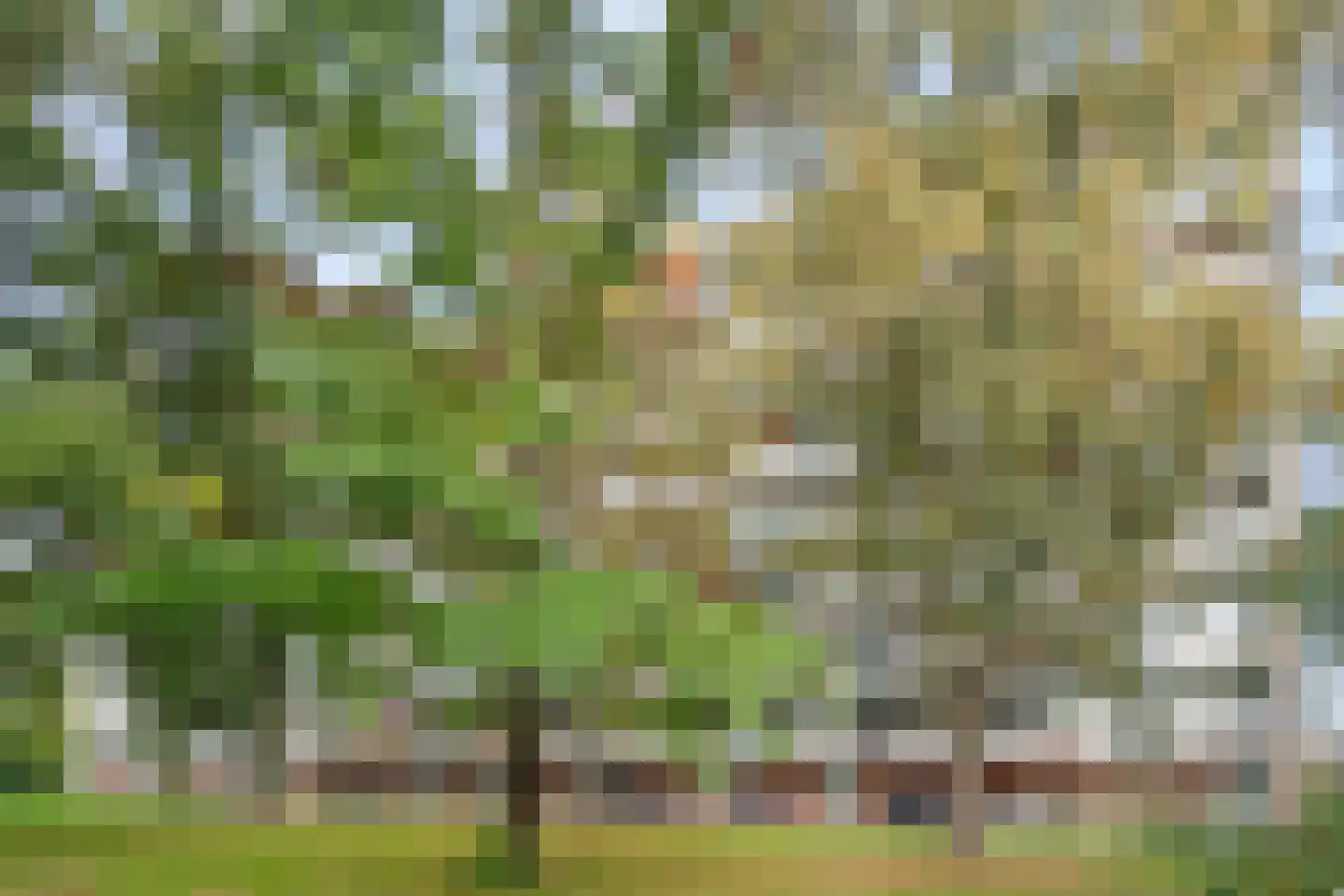 Zangvogelweg 126 Amersfoort thumbnail 40