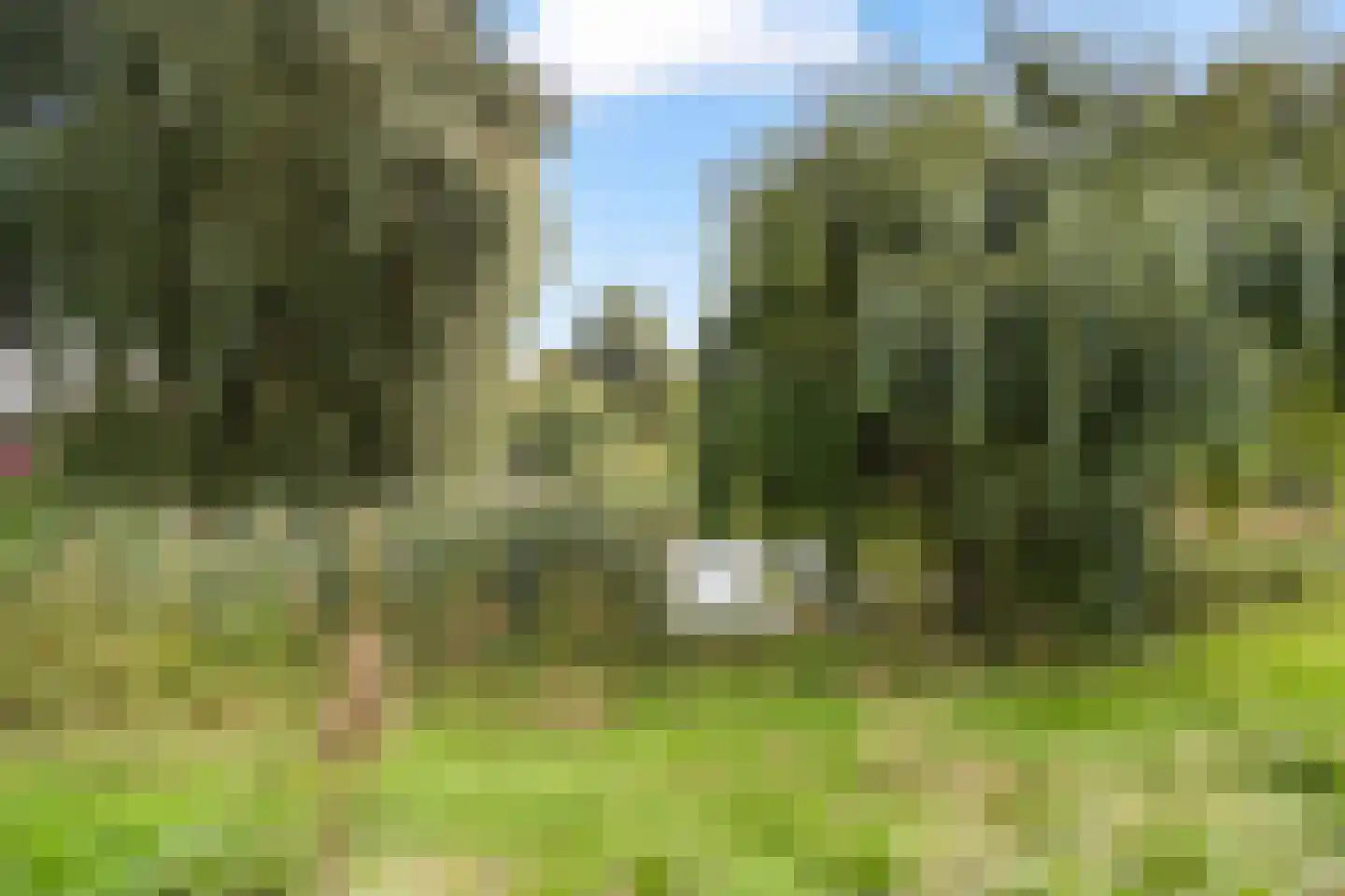 Zangvogelweg 126 Amersfoort thumbnail 47