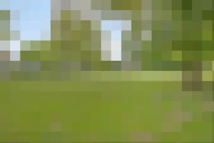 Zangvogelweg 14 Amersfoort thumbnail 23