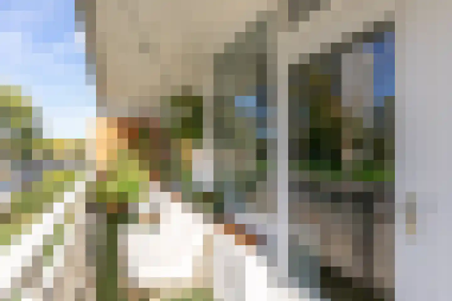 Zangvogelweg 17 Amersfoort thumbnail 28