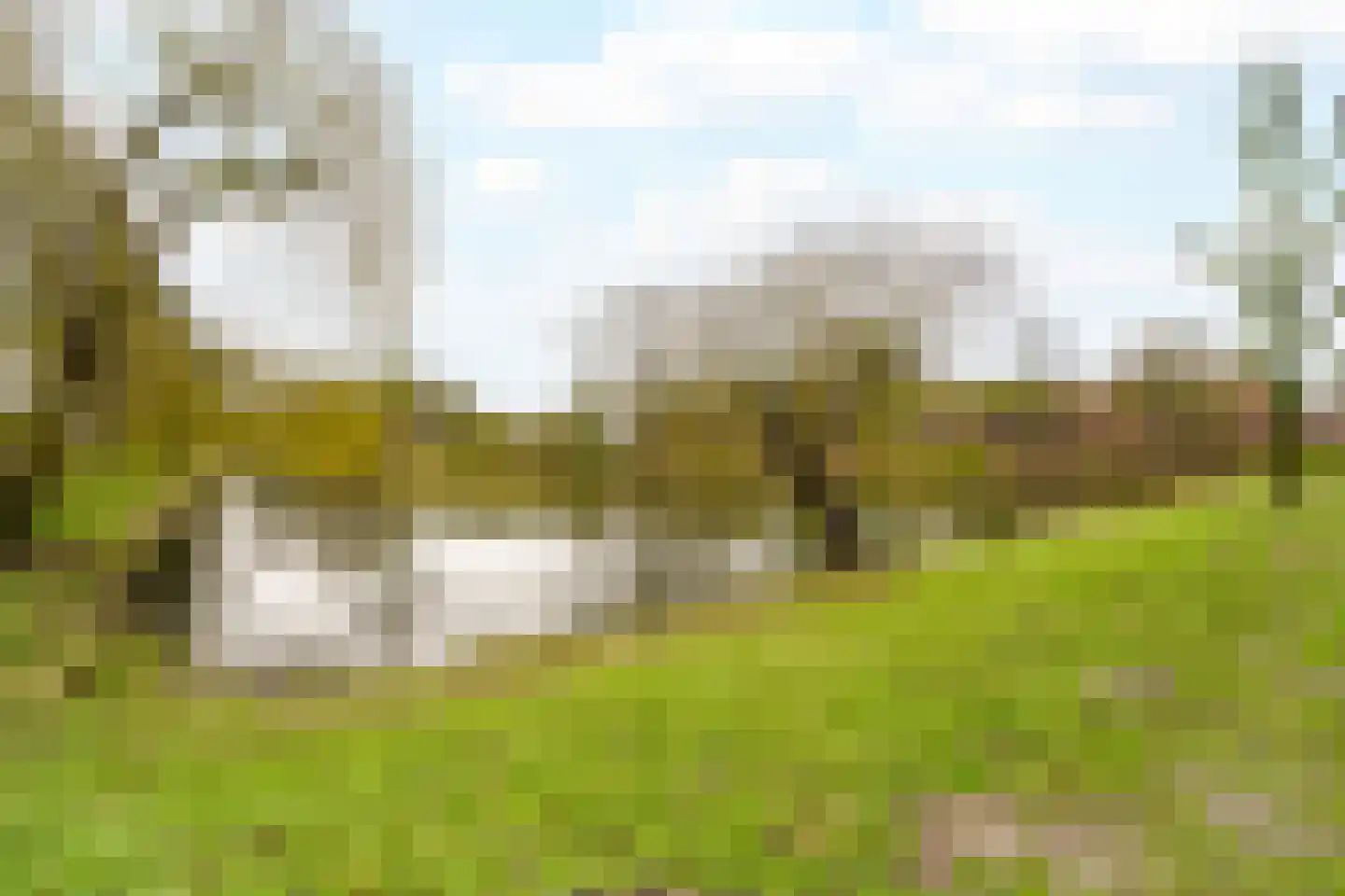 Zangvogelweg 36 Amersfoort thumbnail 27