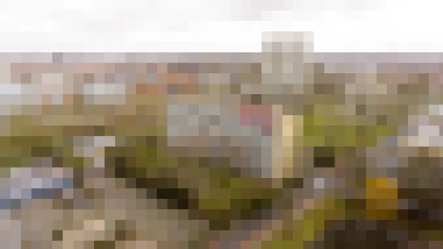 Zangvogelweg 36 Amersfoort thumbnail 32