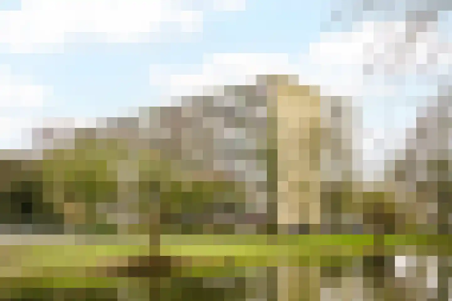 Zangvogelweg 36 Amersfoort thumbnail 34
