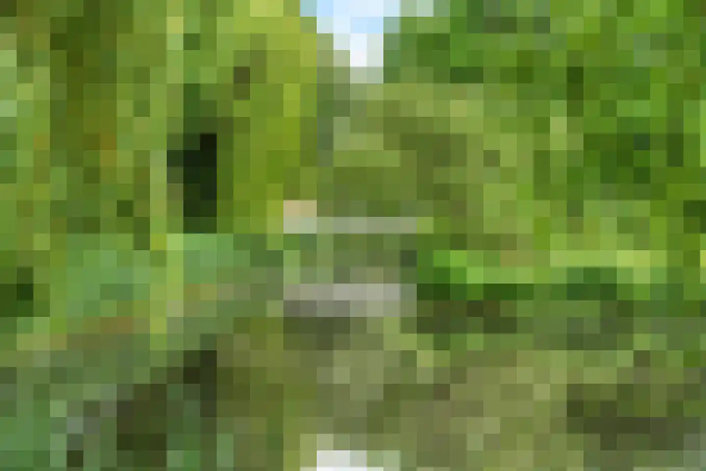 Zangvogelweg 68 Amersfoort thumbnail 31