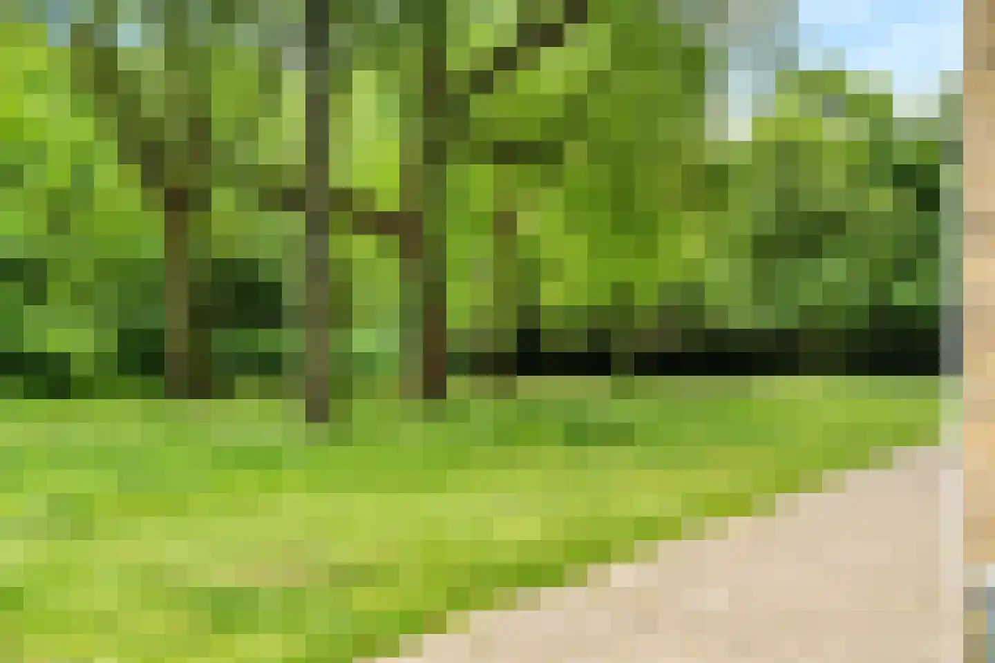 Zangvogelweg 68 Amersfoort thumbnail 32