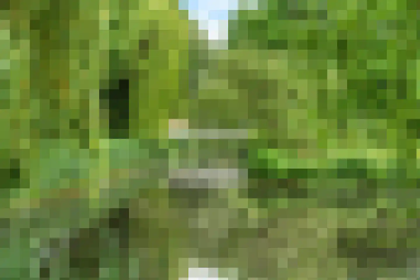 Zangvogelweg 68 Amersfoort thumbnail 34