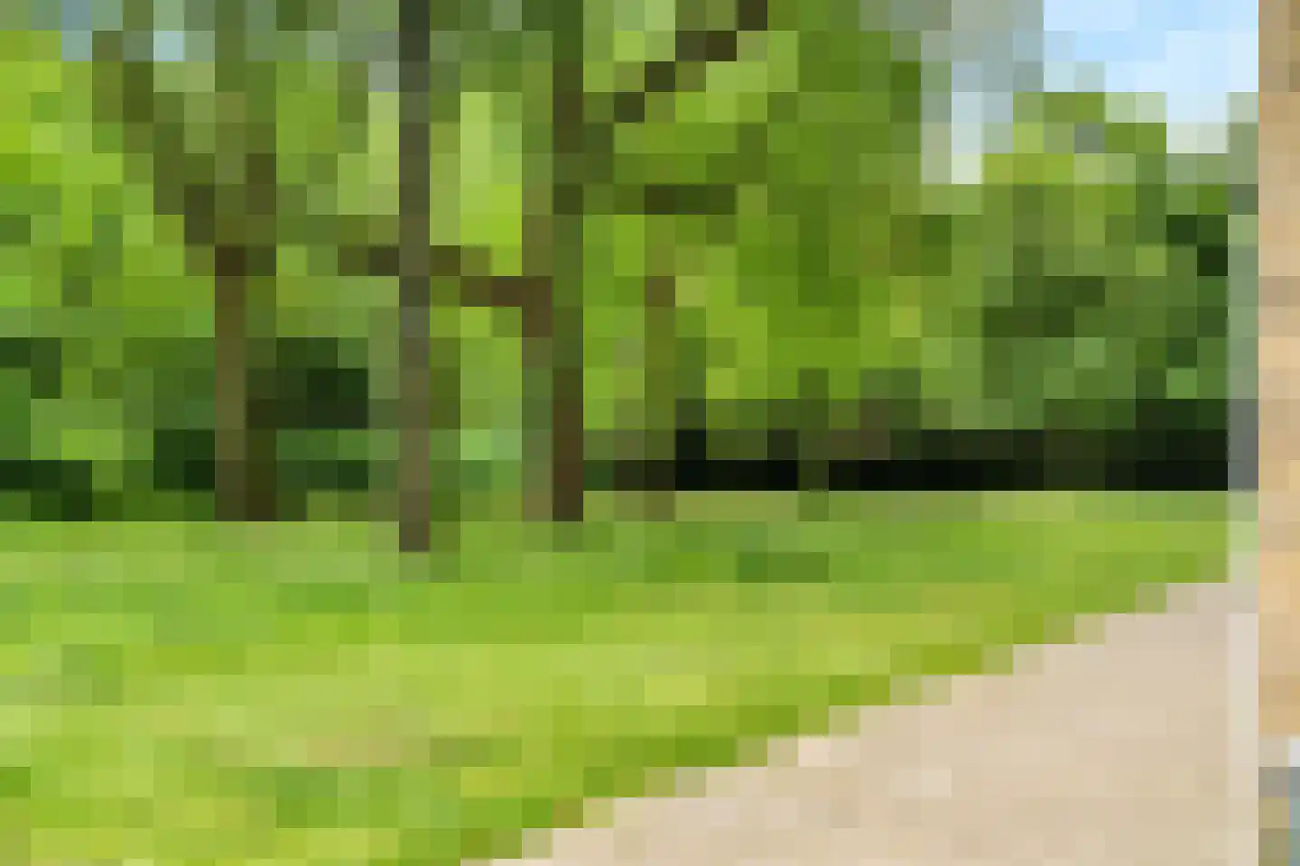 Zangvogelweg 68 Amersfoort thumbnail 35