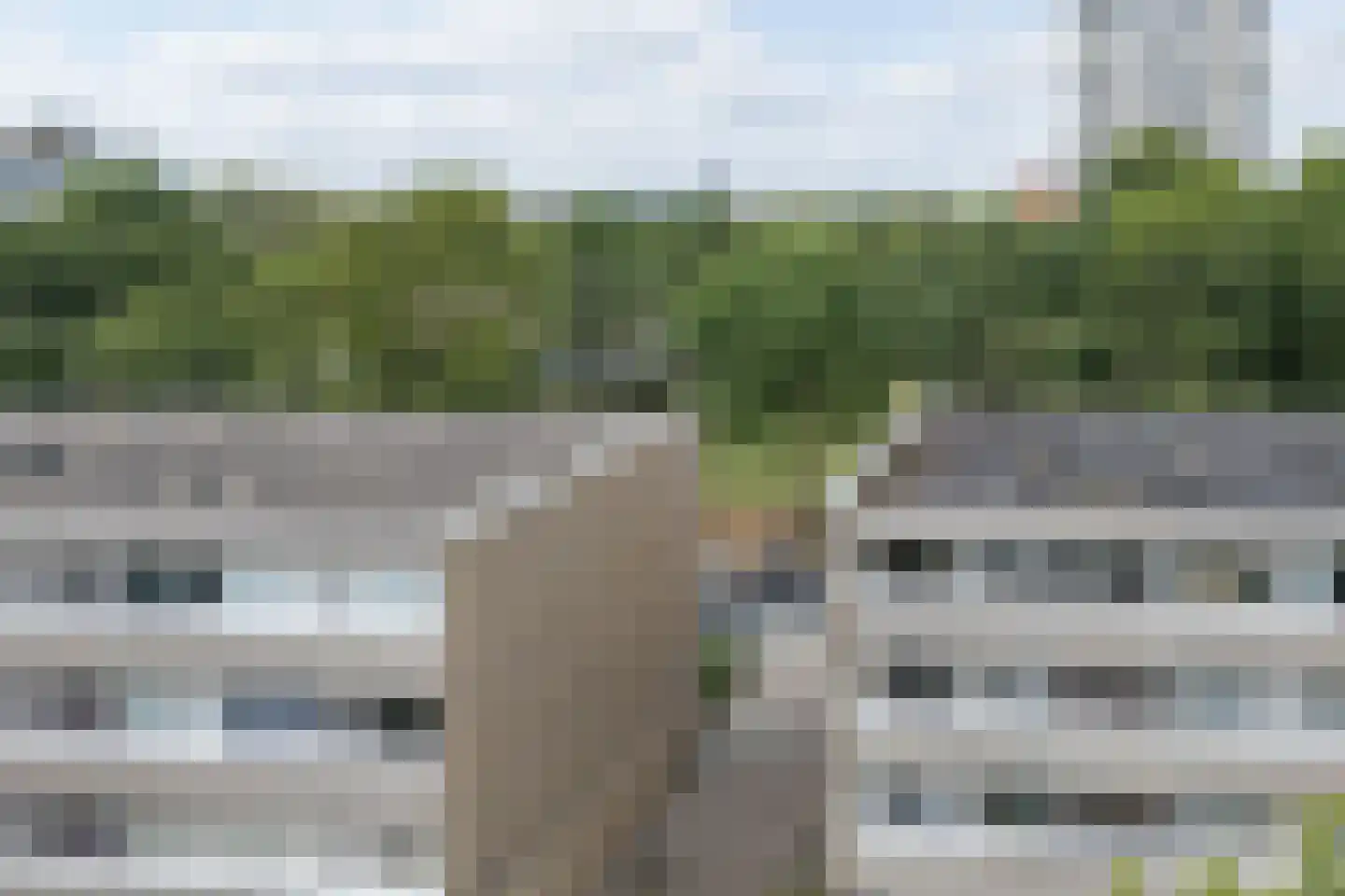 Zangvogelweg 71 Amersfoort thumbnail 35
