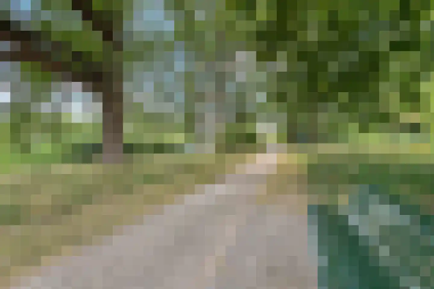 Zangvogelweg 71 Amersfoort thumbnail 38
