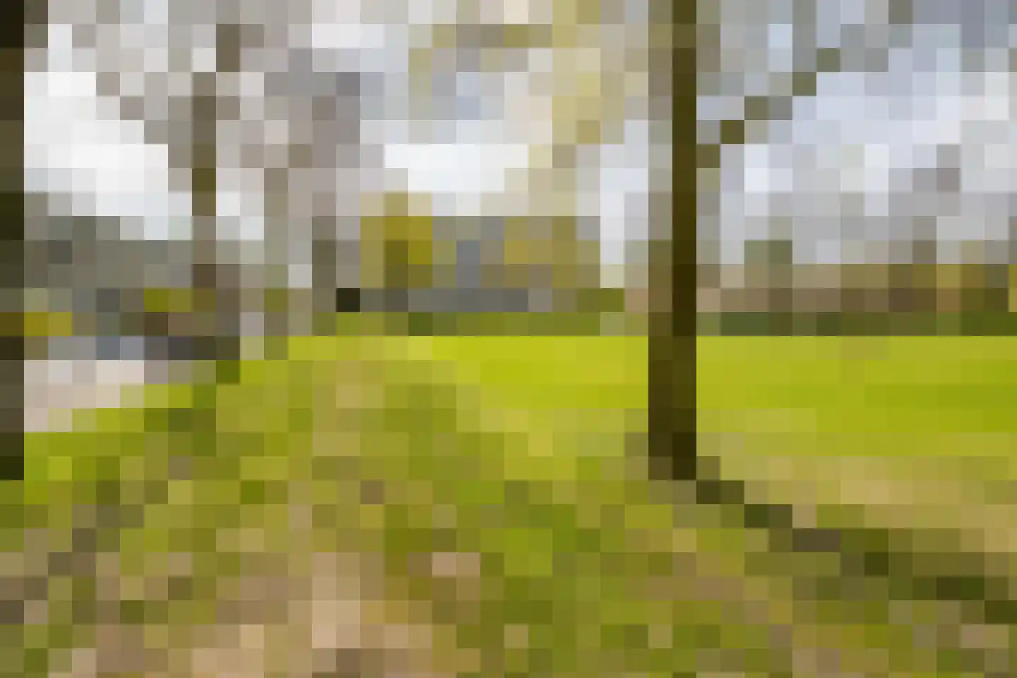 Zangvogelweg 79 Amersfoort thumbnail 34