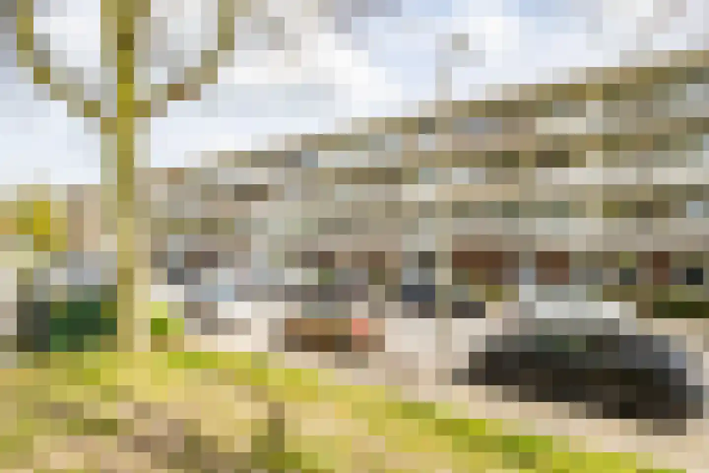 Zangvogelweg 79 Amersfoort thumbnail 5