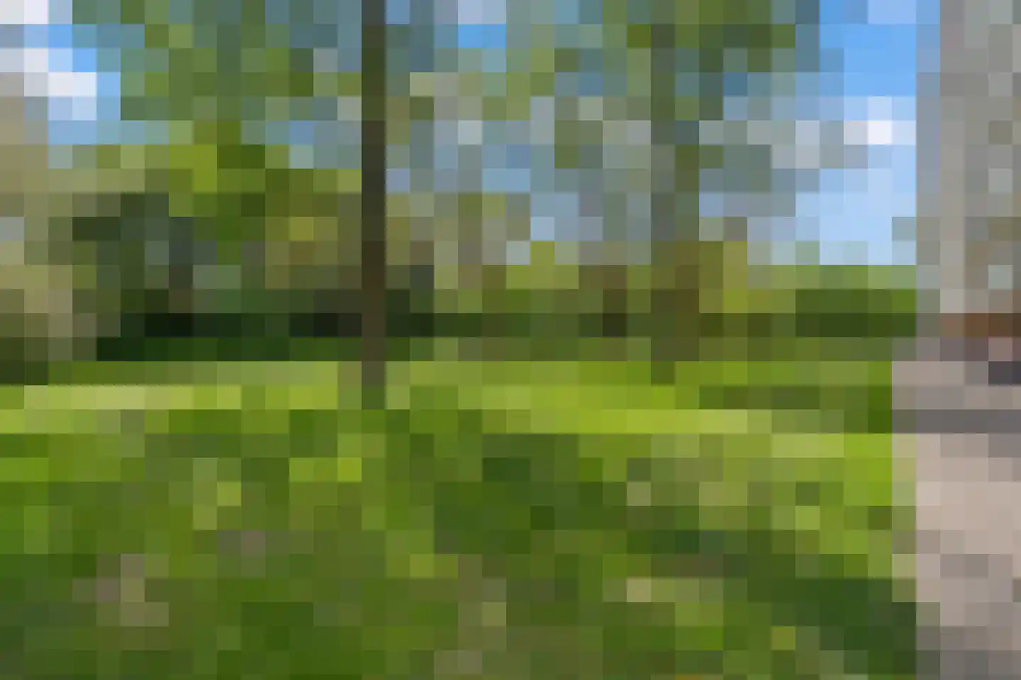 Zangvogelweg 82 Amersfoort thumbnail 34