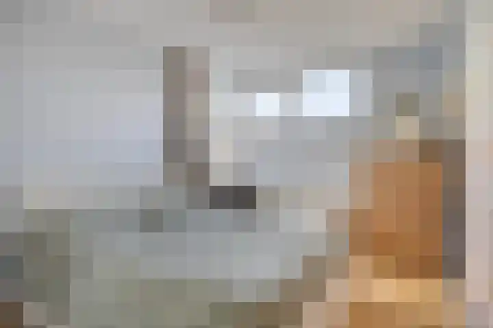 Zantakker 1 Esch thumbnail 11
