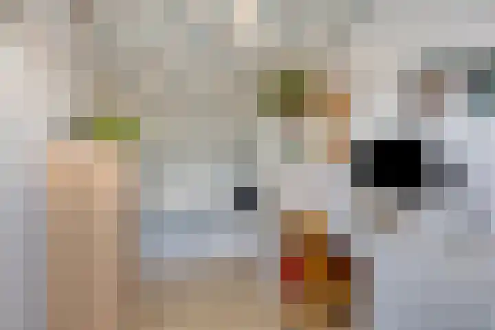 Zantakker 1 Esch thumbnail 20