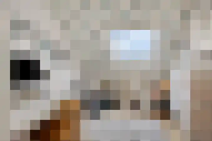 Zantakker 1 Esch thumbnail 21