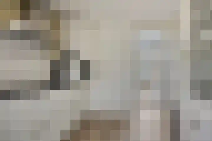 Zantakker 1 Esch thumbnail 9