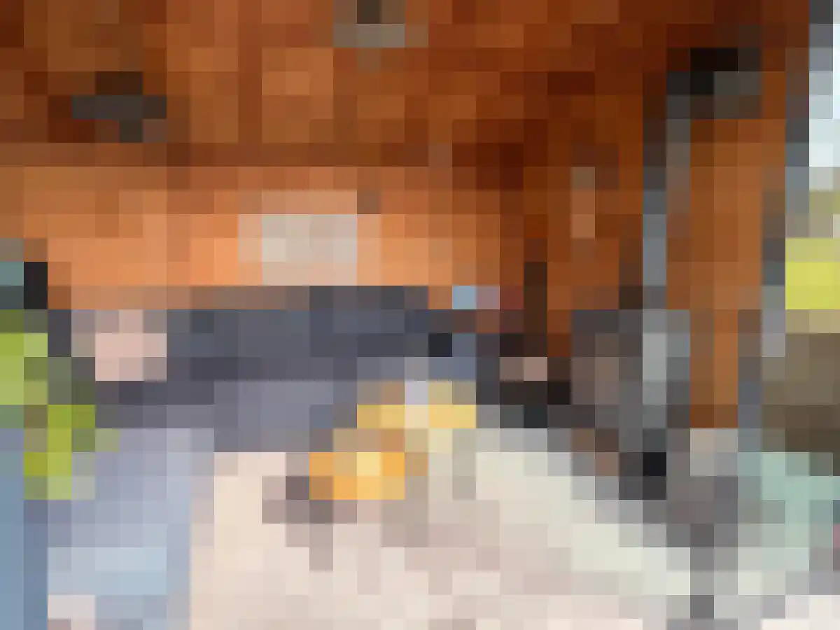 Zantelweg 30 Rhoon thumbnail 6