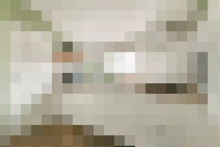 Zantelweg 31 Rhoon thumbnail 11
