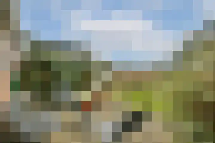 Zantelweg 31 Rhoon thumbnail 25
