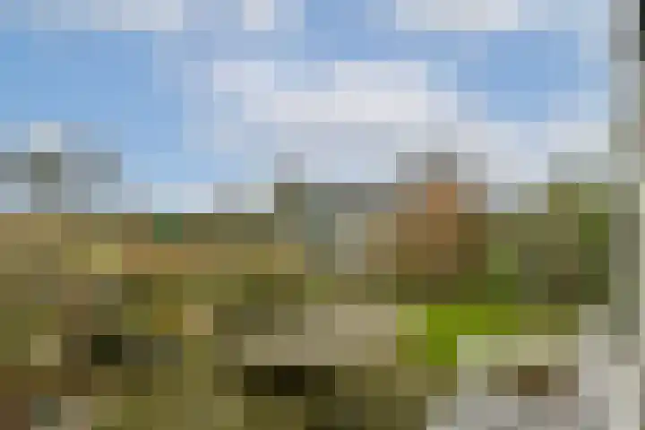 Zantelweg 31 Rhoon thumbnail 26