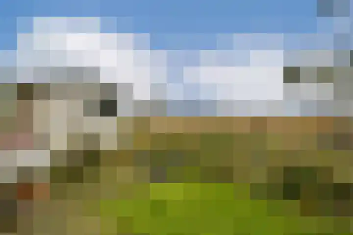 Zantelweg 31 Rhoon thumbnail 27