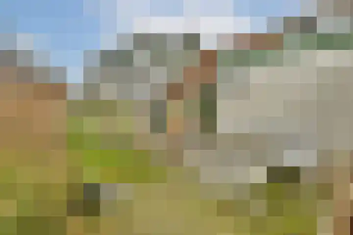 Zantelweg 31 Rhoon thumbnail 28