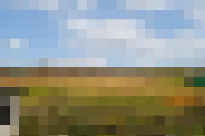 Zantelweg 31 Rhoon thumbnail 30
