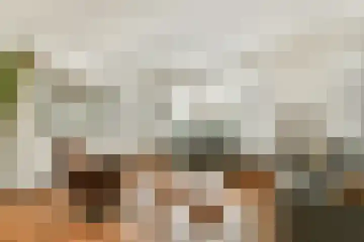 Zantelweg 31 Rhoon thumbnail 5