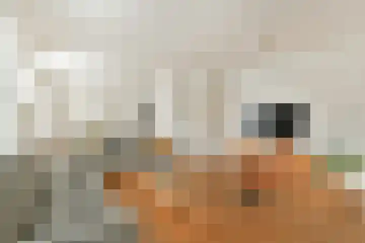 Zantelweg 31 Rhoon thumbnail 7