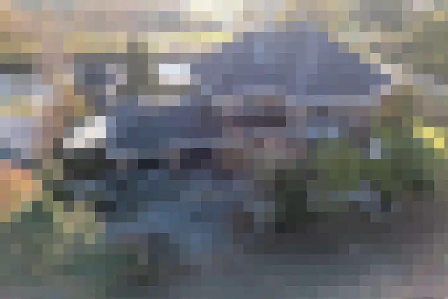 Zanzibar 1 Purmerend thumbnail 10