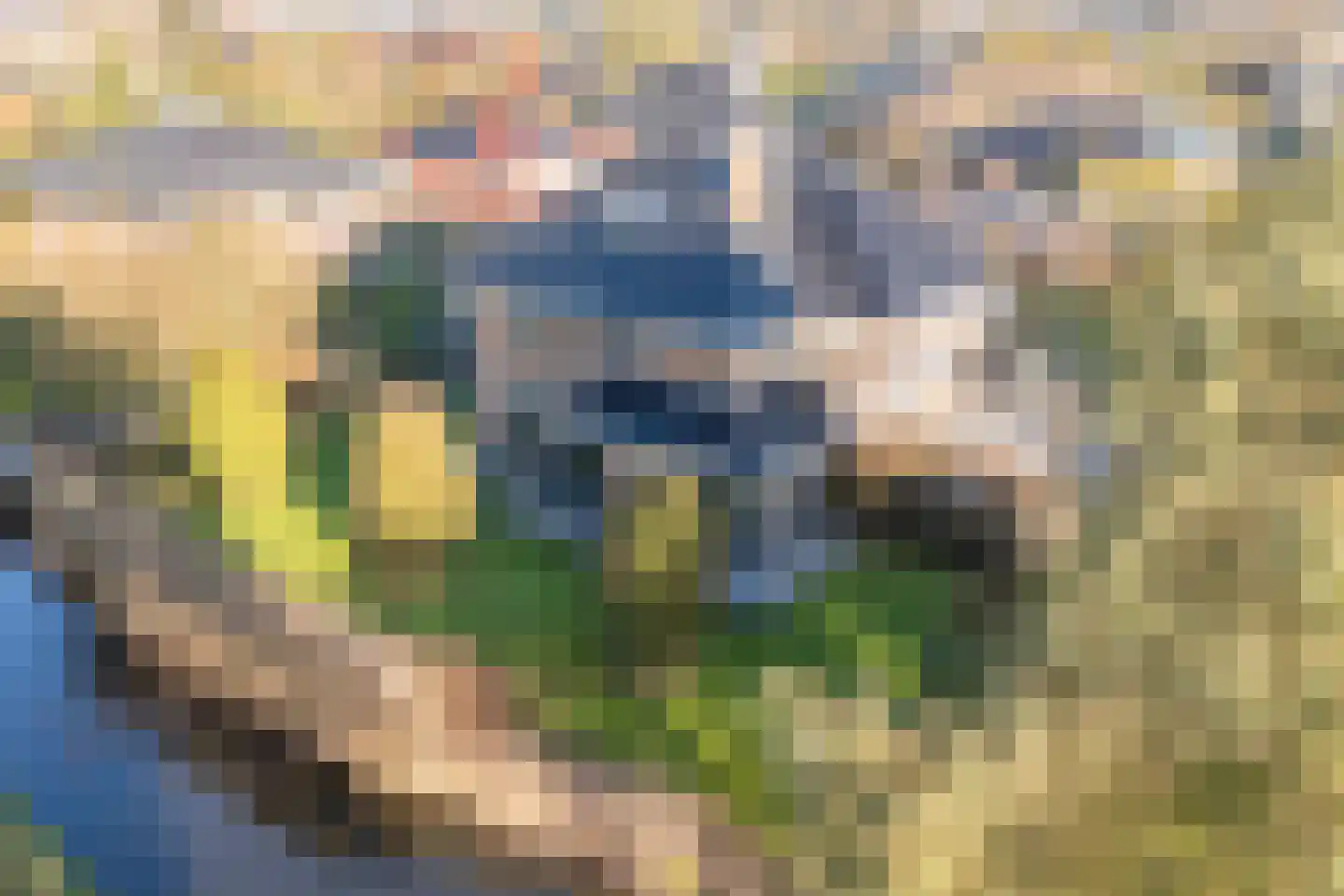 Zanzibar 1 Purmerend thumbnail 11