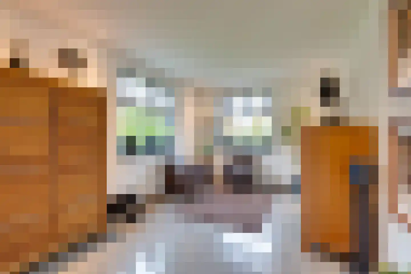 Zanzibar 1 Purmerend thumbnail 28