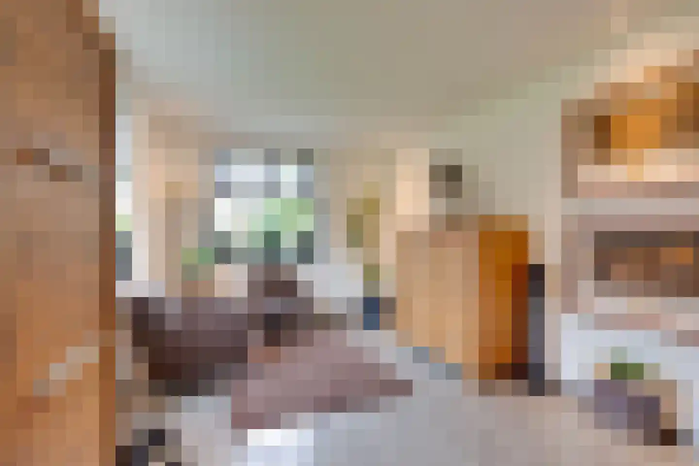 Zanzibar 1 Purmerend thumbnail 29