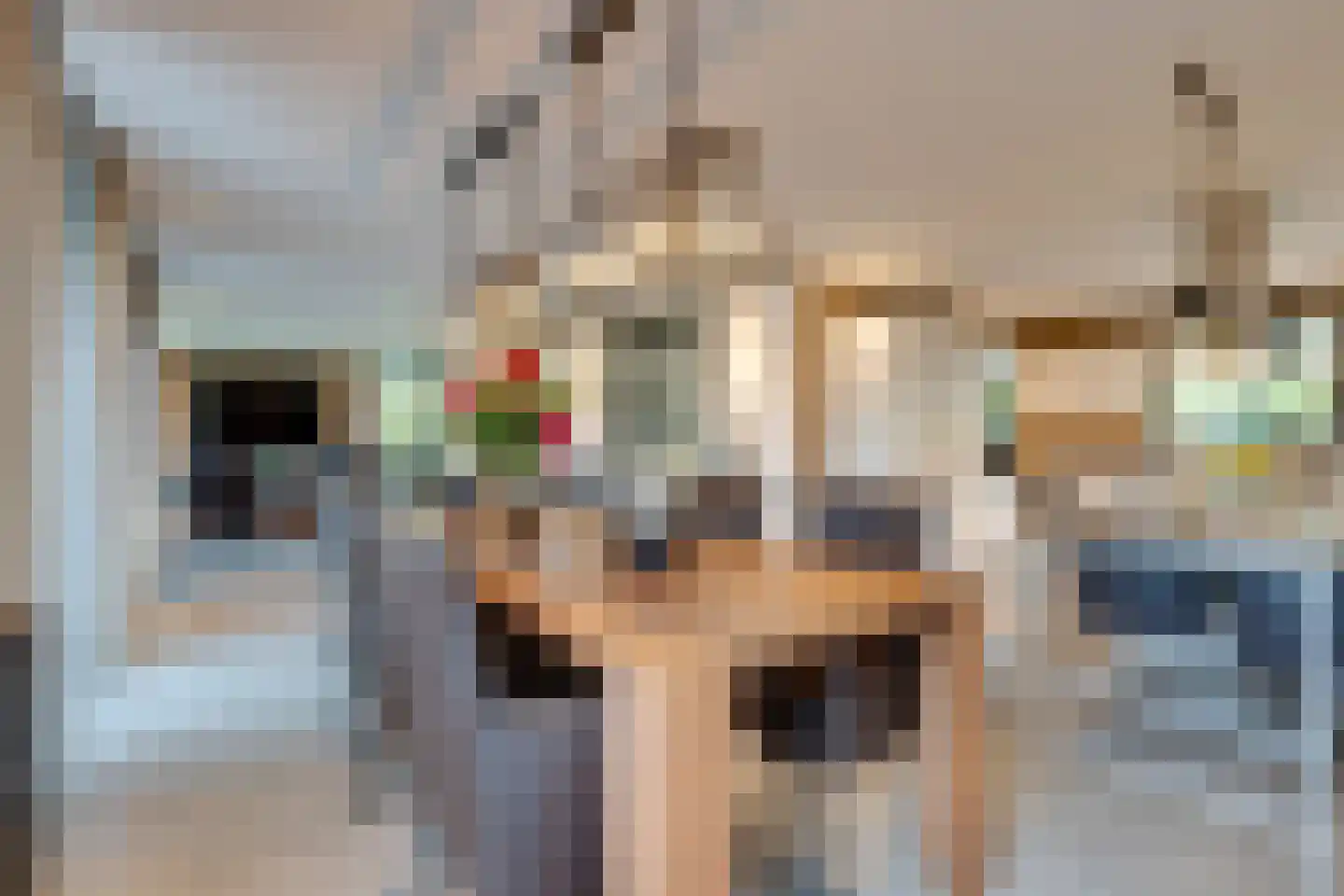 Zanzibar 1 Purmerend thumbnail 34