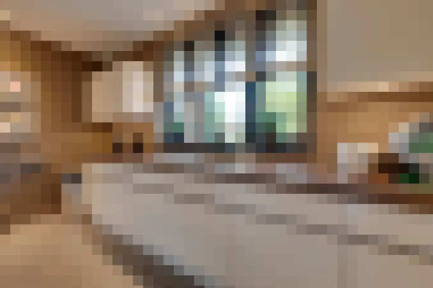 Zanzibar 1 Purmerend thumbnail 41