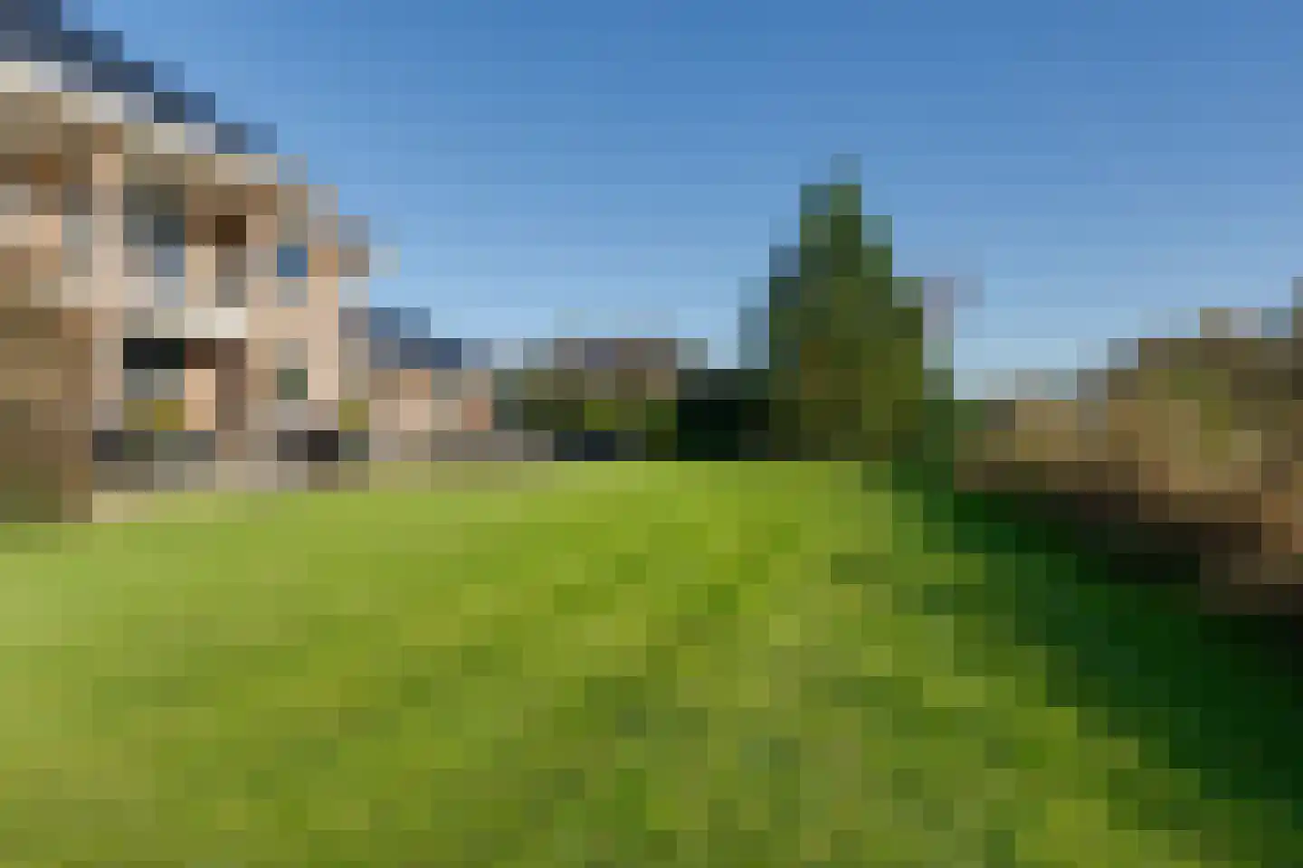 Zanzibar 1 Purmerend thumbnail 52