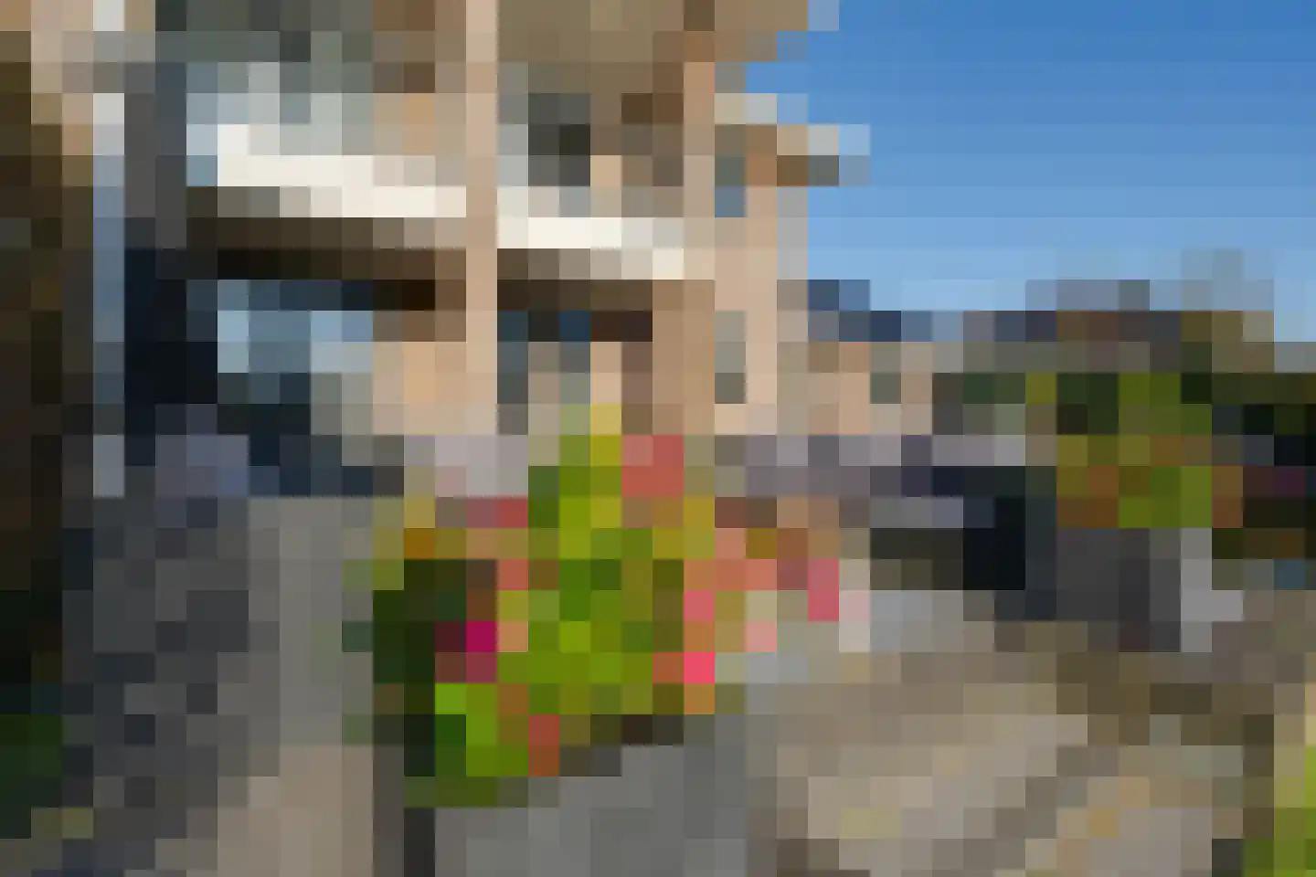 Zanzibar 1 Purmerend thumbnail 57