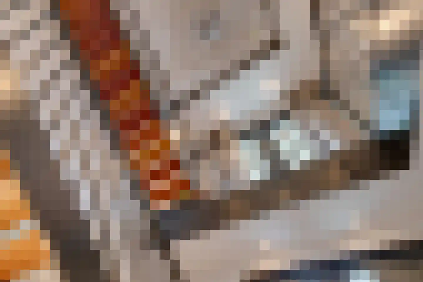 Zanzibar 1 Purmerend thumbnail 64
