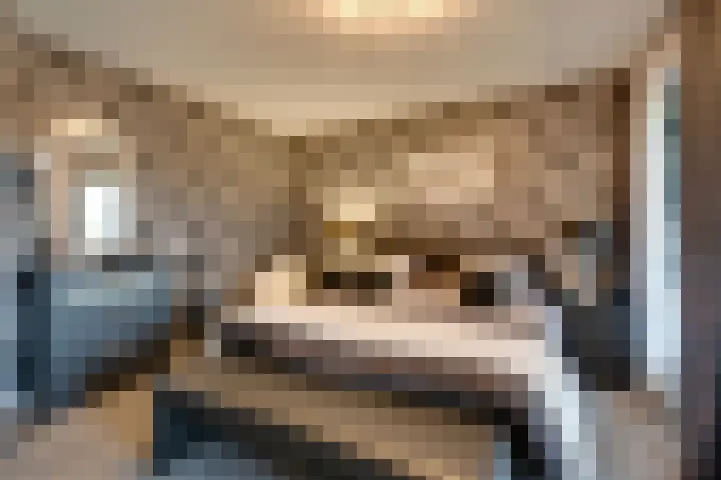 Zanzibar 1 Purmerend thumbnail 66