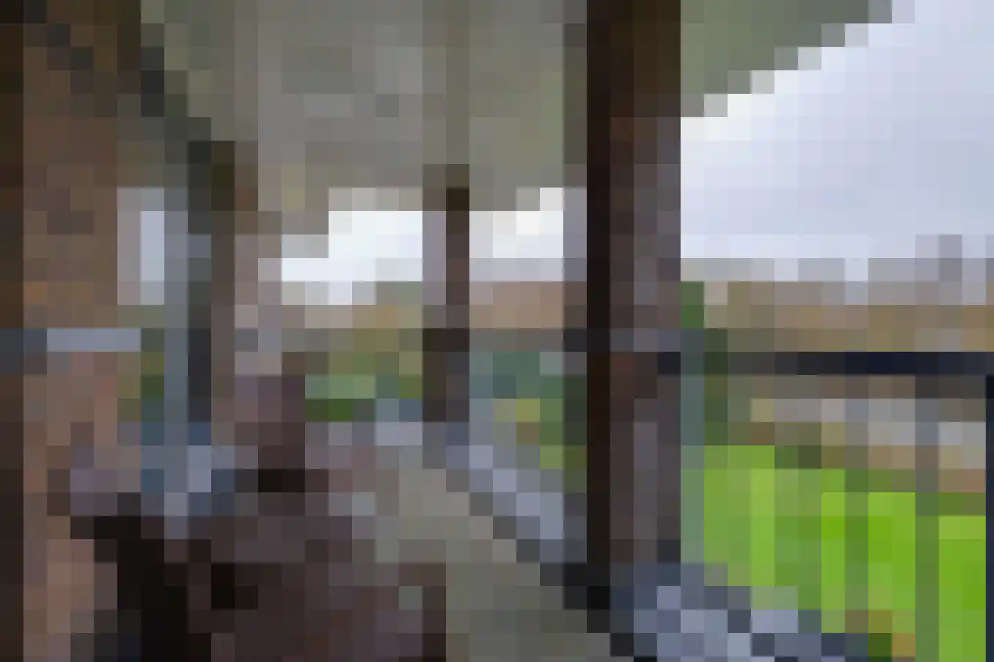 Zanzibar 1 Purmerend thumbnail 68