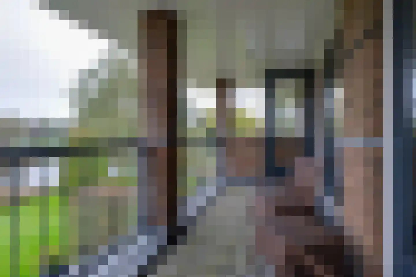 Zanzibar 1 Purmerend thumbnail 69