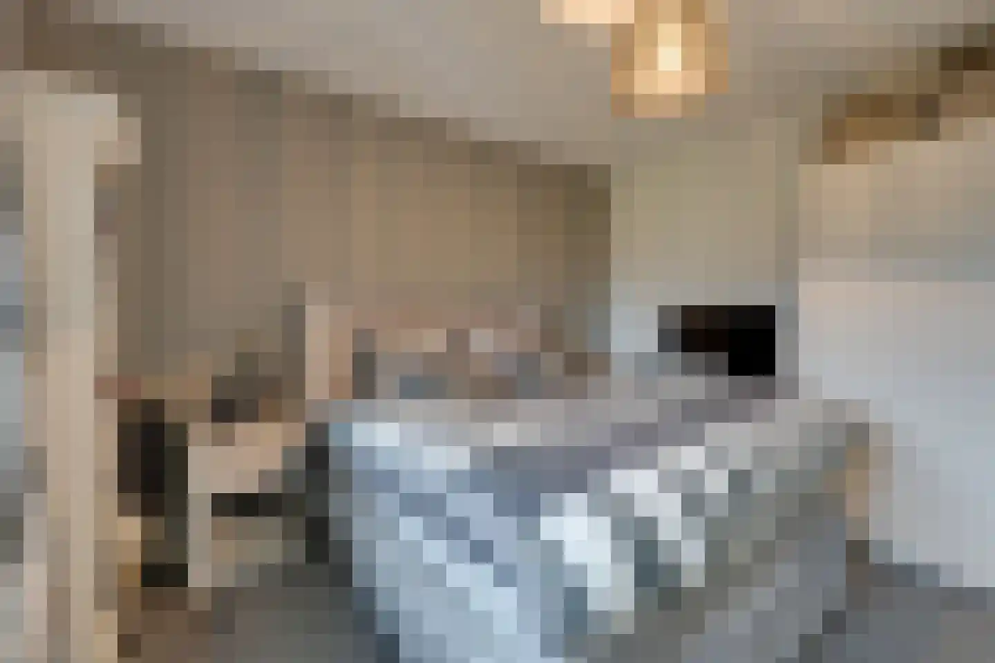 Zanzibar 1 Purmerend thumbnail 71