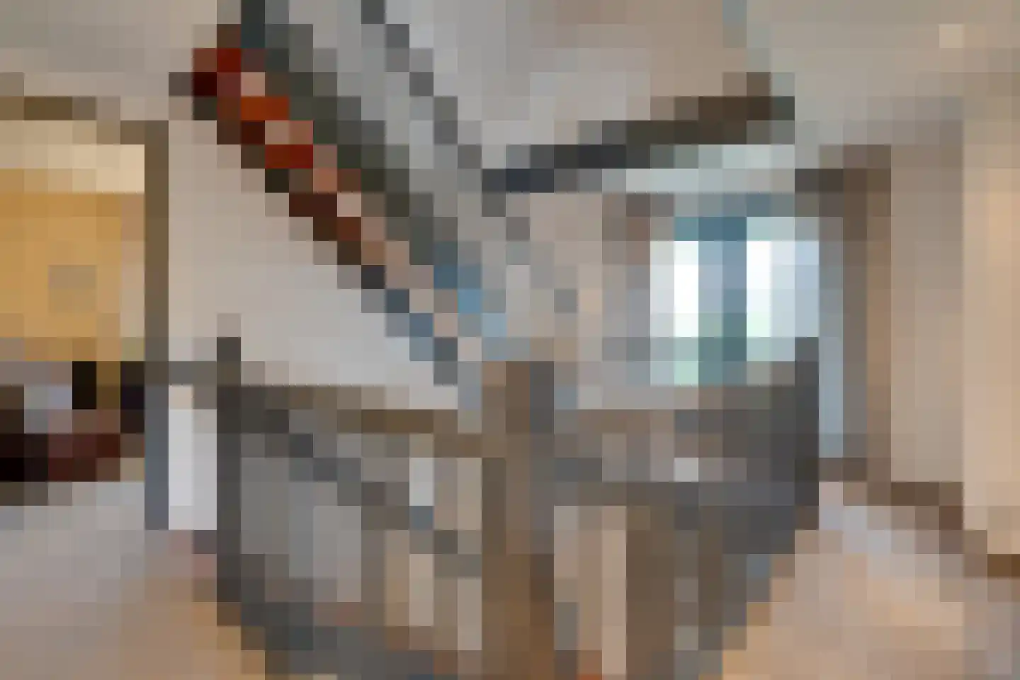 Zanzibar 1 Purmerend thumbnail 77