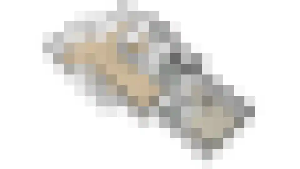Zanzibar 1 Purmerend thumbnail 92