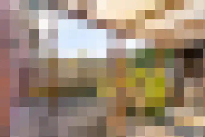 Zanzibarstraat 51 Almere thumbnail 39