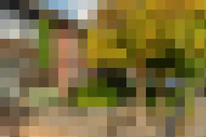 Zanzibarstraat 55 Almere thumbnail 61