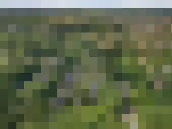 Zassenkamp 2 Bennekom thumbnail 10