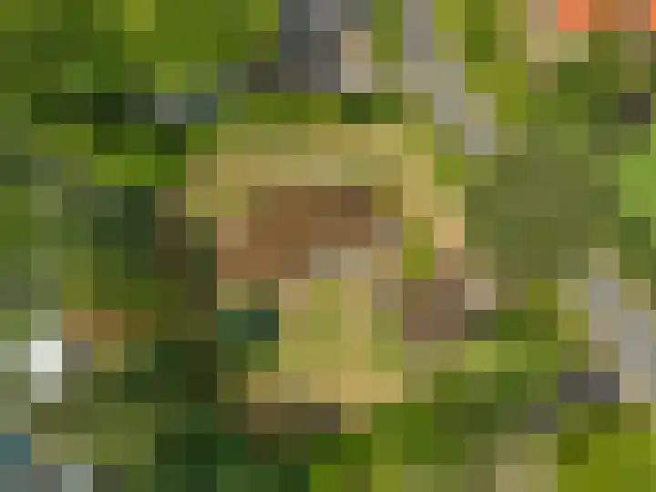 Zassenkamp 2 Bennekom thumbnail 12