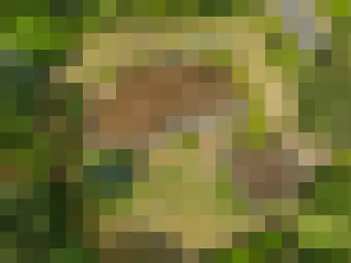 Zassenkamp 2 Bennekom thumbnail 13